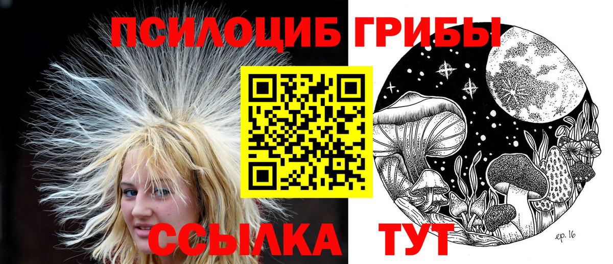 Гагарин  Псилоцибиновые грибы GOLDEN TEACHER  купить наркоту  Вход с VPN 
